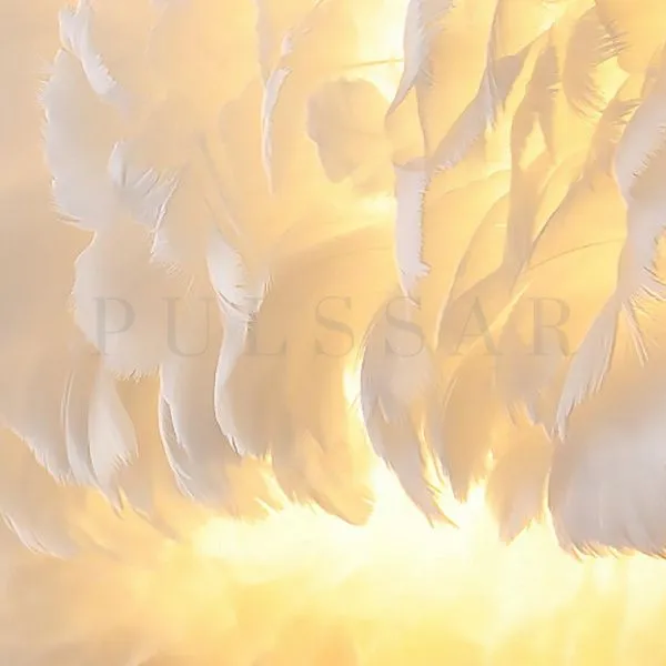 Потолочная люстра FEATHERS CH