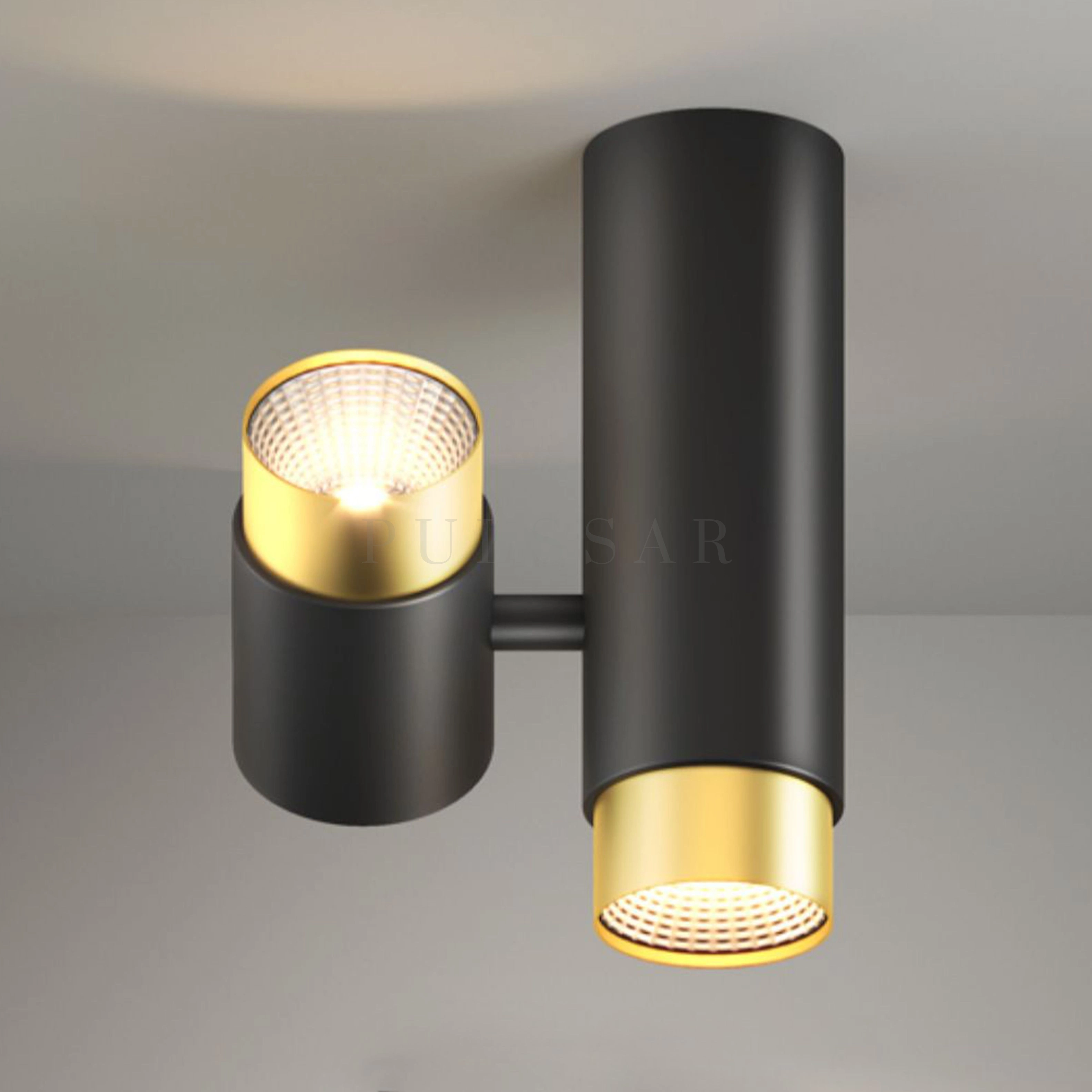 Чёрный двойной точечный светильник SIF с фиксированным и поворотным цилиндрическим плафоном, угол поворота 360°. Освещение в стиле хай-тек