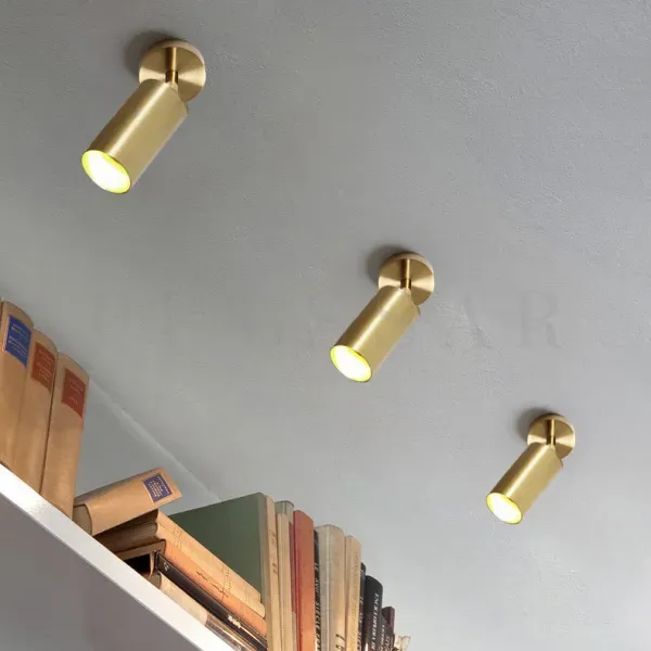 Поворотный спот, направляющий узкий луч света на книгу, идеален для организации местного освещения.