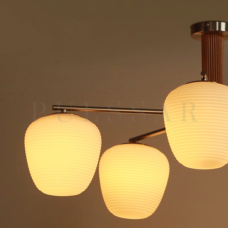 Потолочная люстра DAGFIN CH