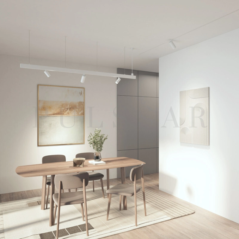 Трековый акцентный светильник SIMPLE SPOT DK8220-WH