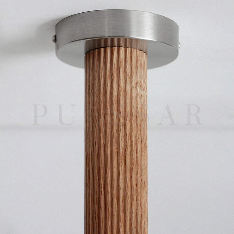 Потолочная люстра DAGFIN CH