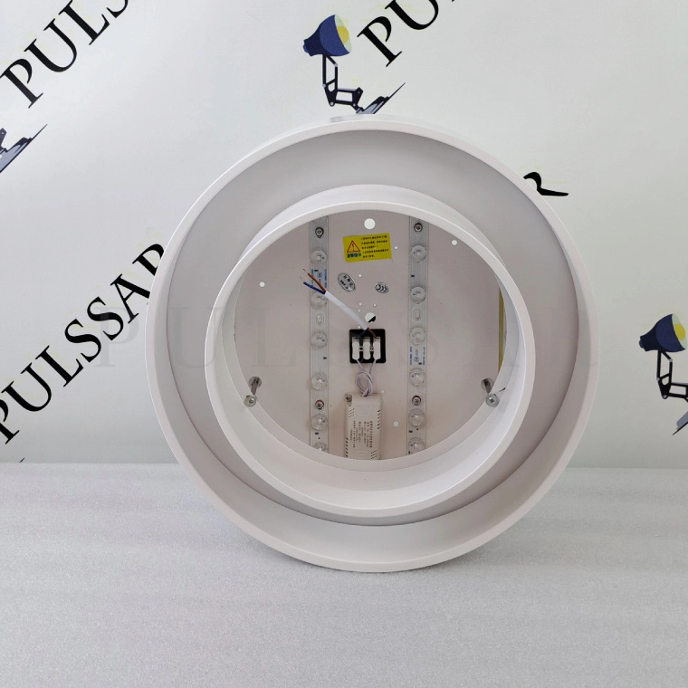 Потолочный светильник WINTON