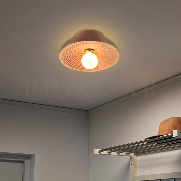 Потолочный светильник ELSA C