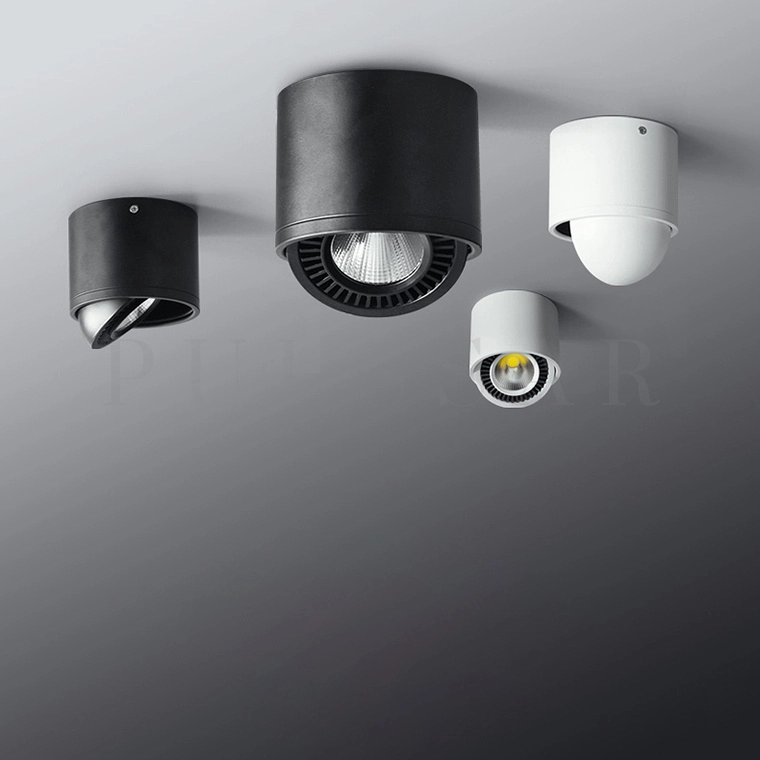 Точечный светильник PASS