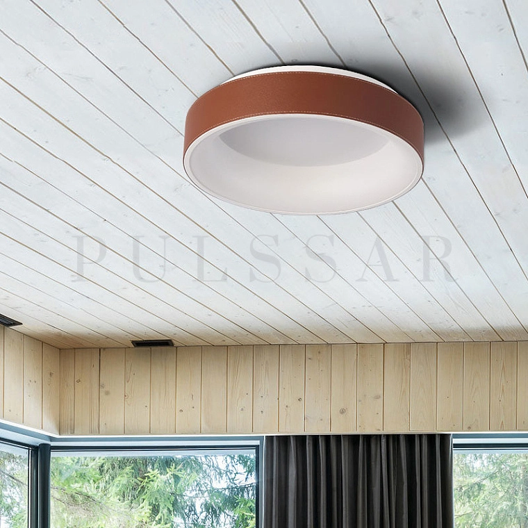 Потолочный светильник INTRIGO