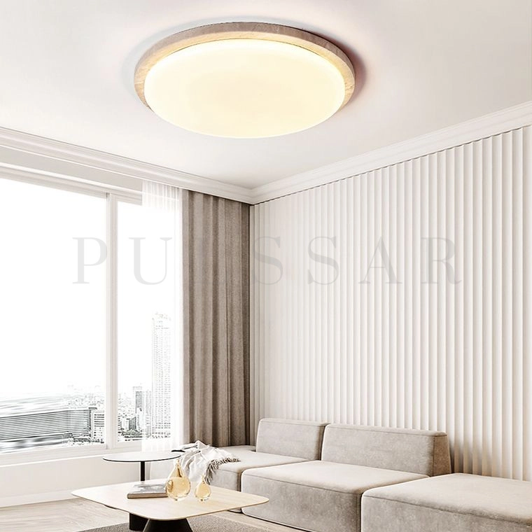 Потолочный светильник ONAR