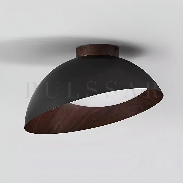 Потолочный светильник EDVIN