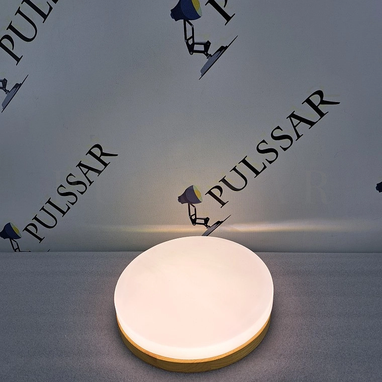 Потолочный светильник DISC HALF