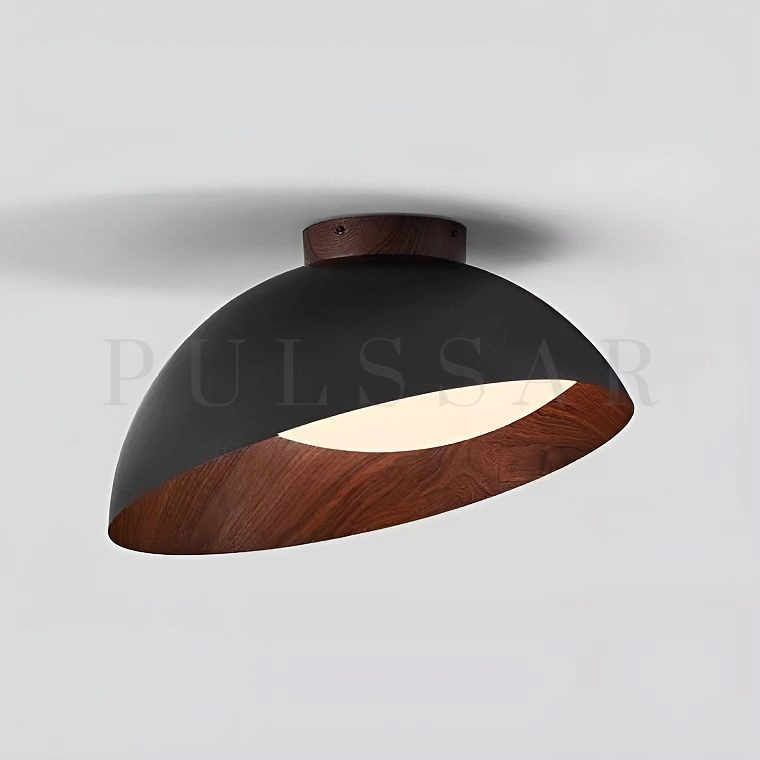 Потолочный светильник EDVIN