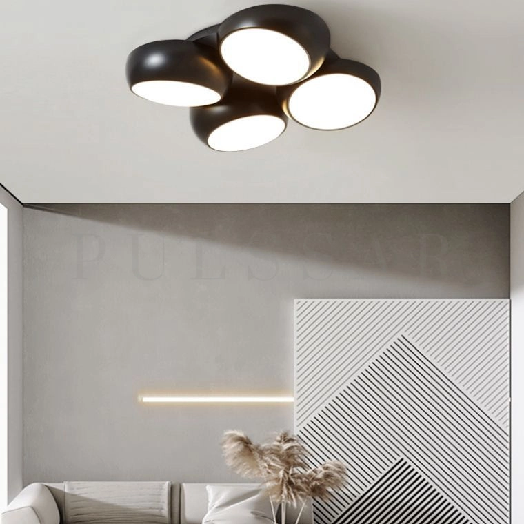 Потолочный светильник DAGA