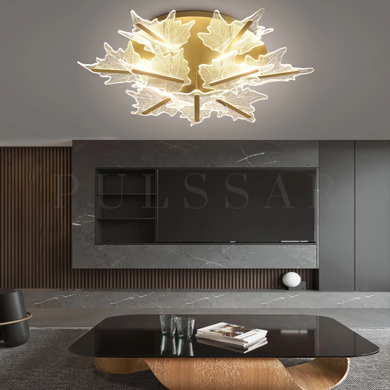 Потолочная люстра VATERA