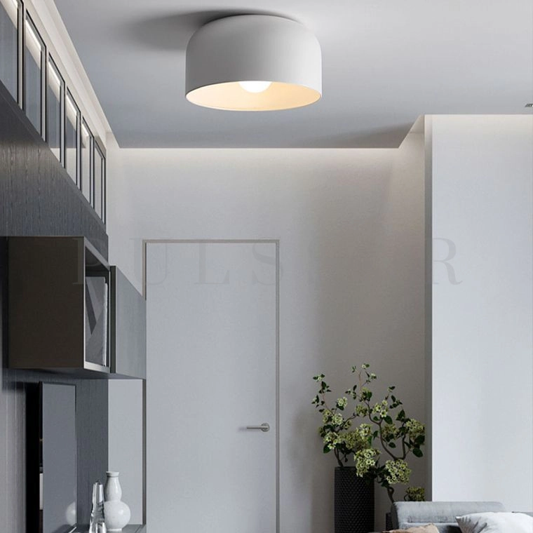 Потолочный светильник PUFF