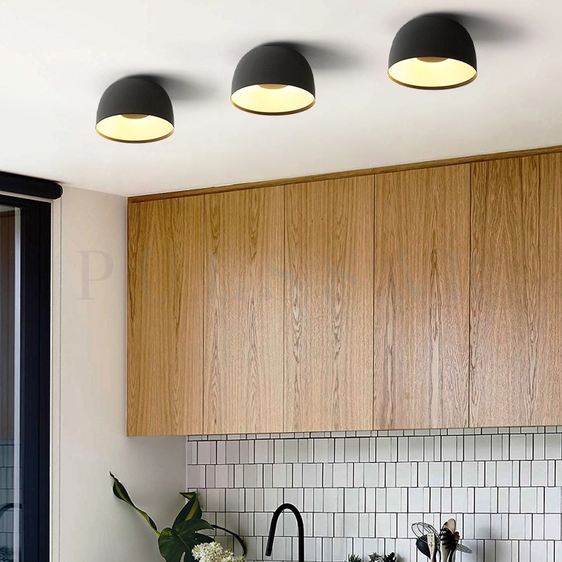 Потолочный светильник BRIM