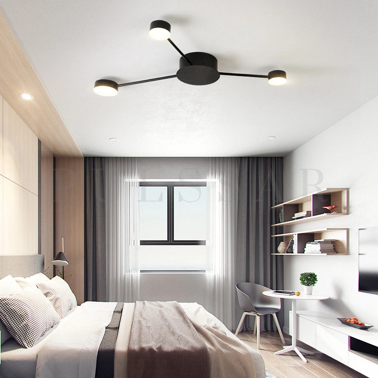 Потолочная люстра ASBRO