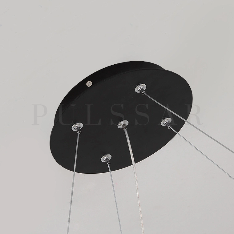 Кольцевая люстра BIRD