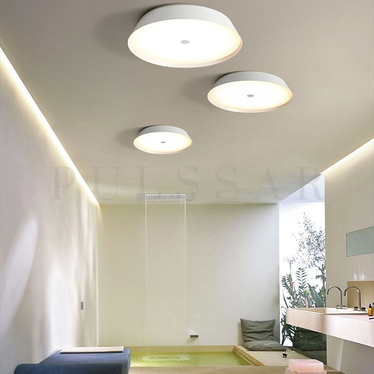 Потолочный светильник VASABI