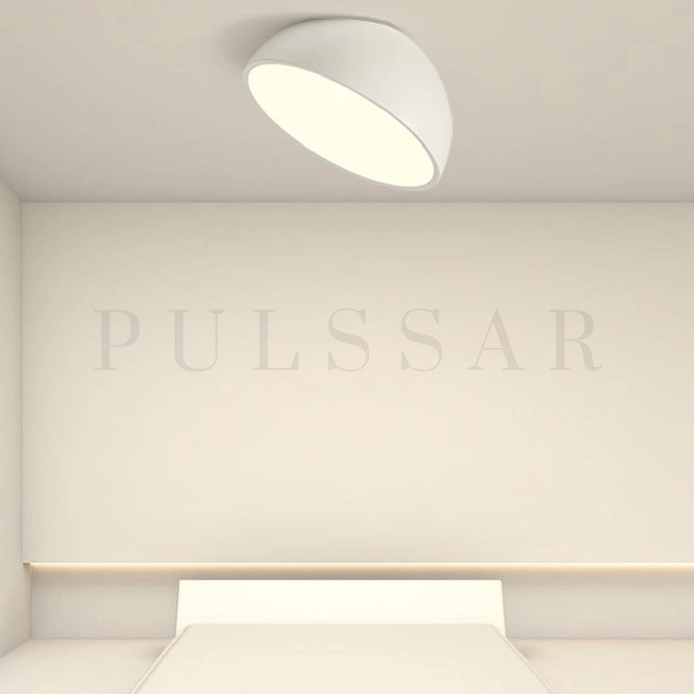 Потолочный светильник SELDEN