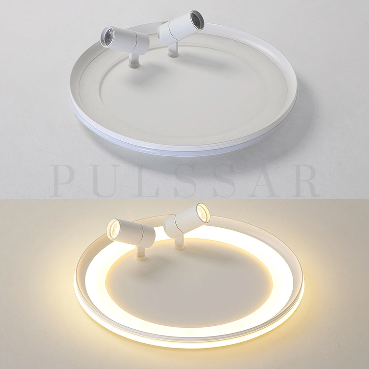 Потолочный светильник GARB