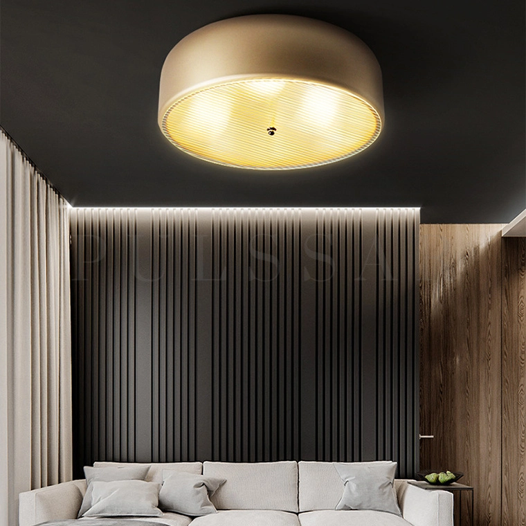 Потолочный светильник RANNY