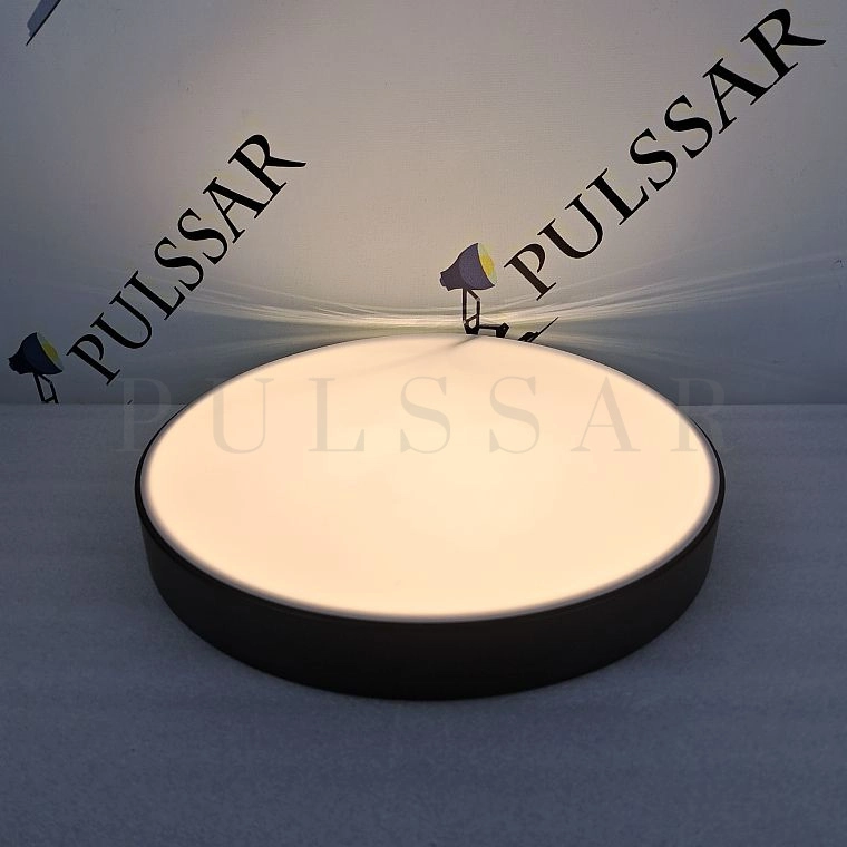 Потолочный светильник DISC BW