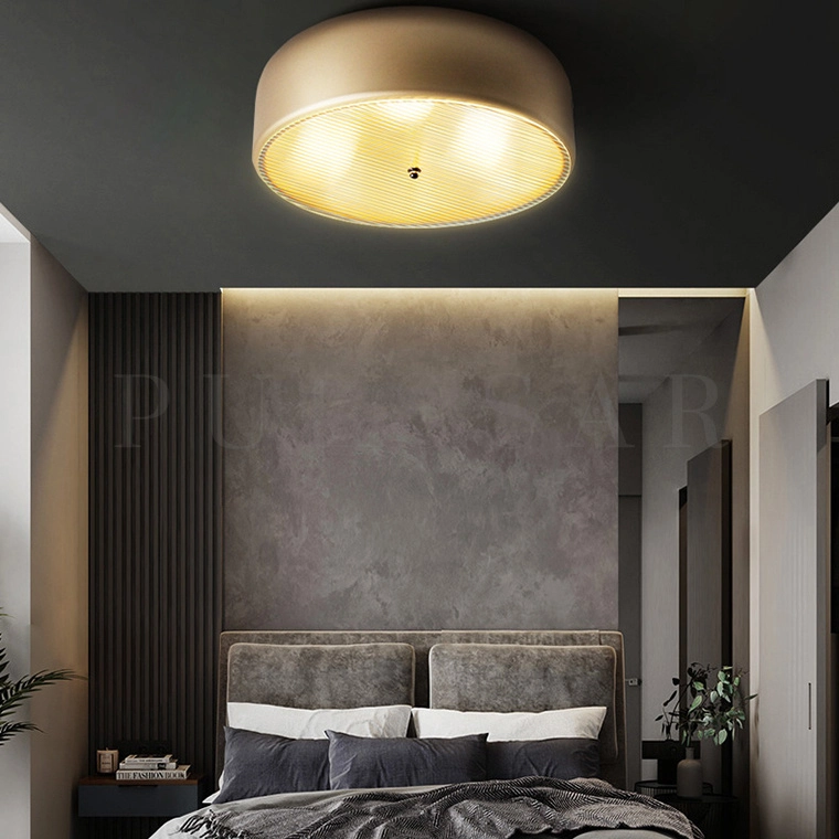 Потолочный светильник RANNY