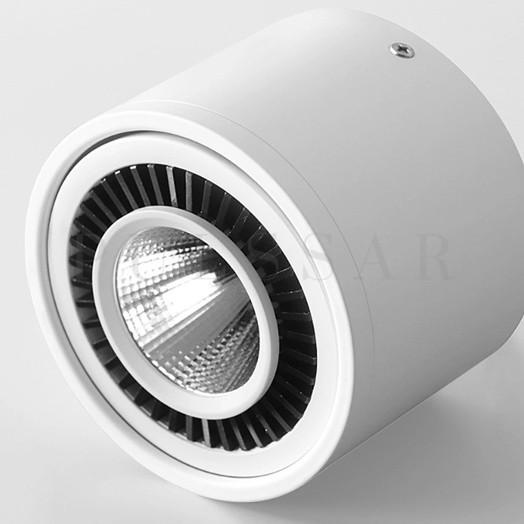 Точечный светильник PASS