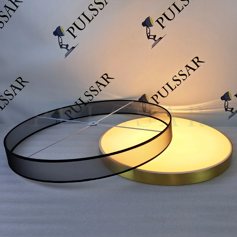 Потолочный светильник DANICA