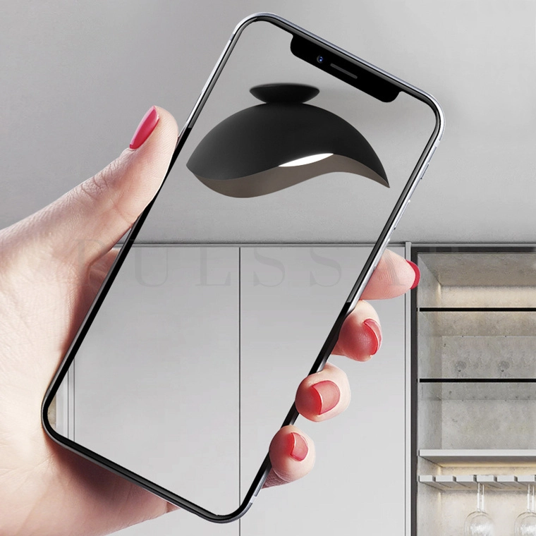 Потолочный светильник PAMPITA CH