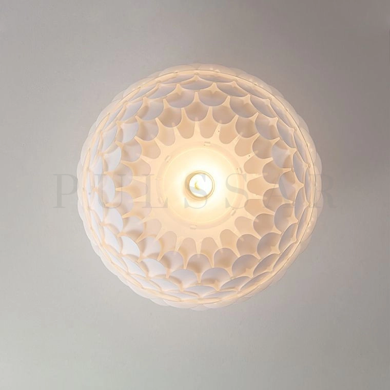 Потолочный светильник LOISE