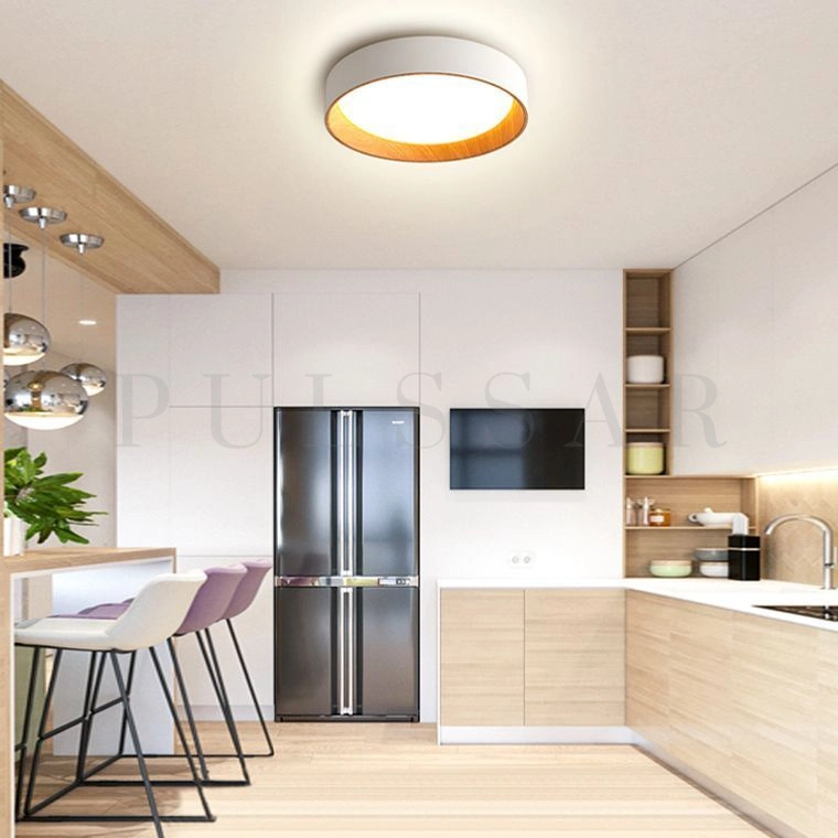 Потолочный светильник WENNY