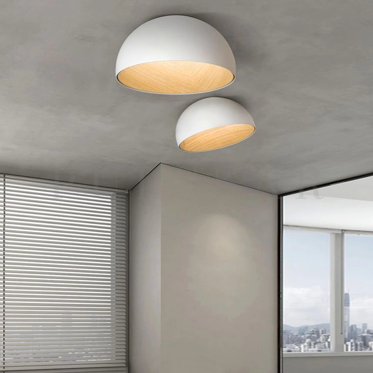 Потолочный светильник BARA