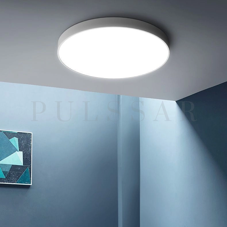 Потолочный светильник DISC BW