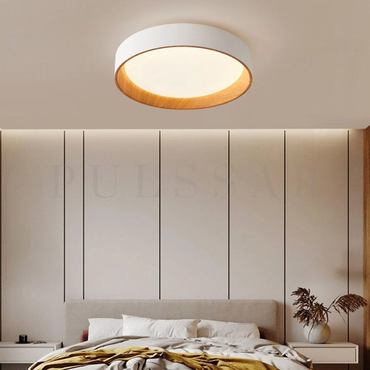 Потолочный светильник WENNY