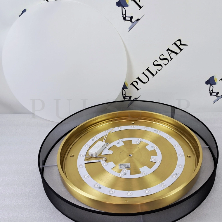 Потолочный светильник DANICA