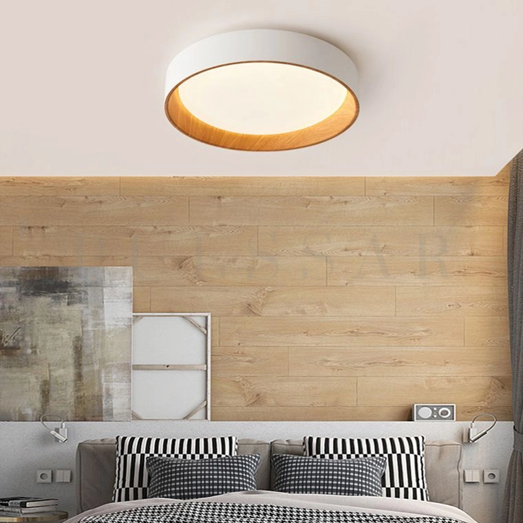 Потолочный светильник WENNY