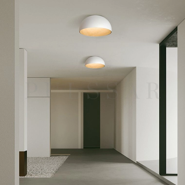 Потолочный светильник BARA