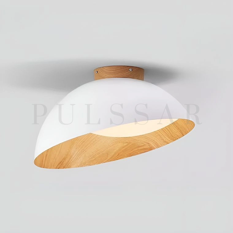 Потолочный светильник EDVIN