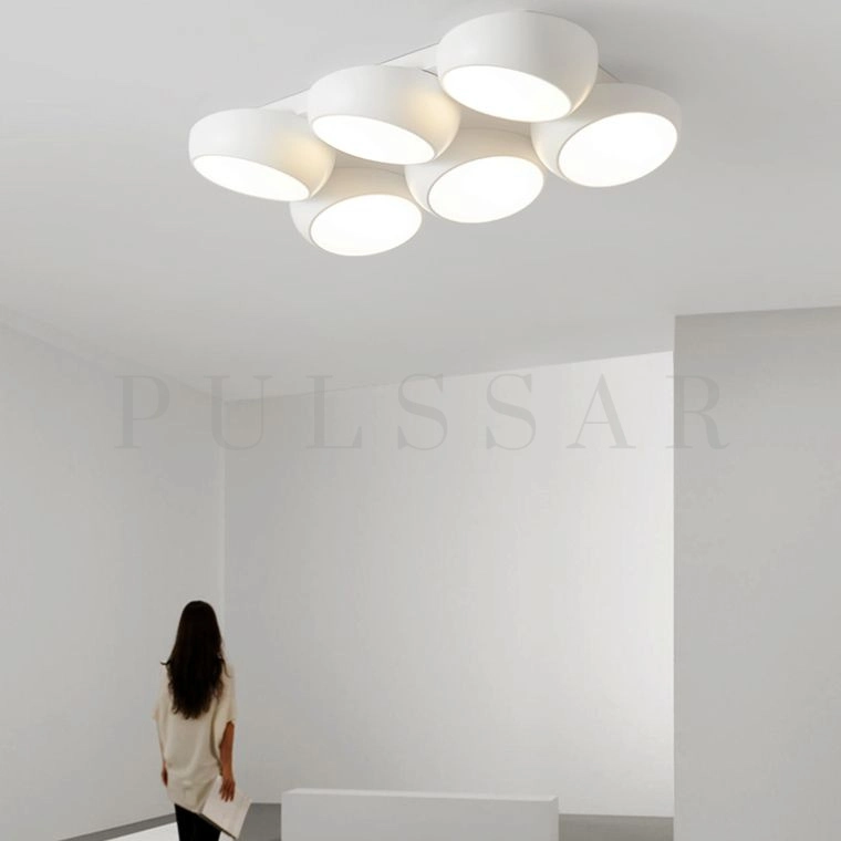 Потолочный светильник DAGA