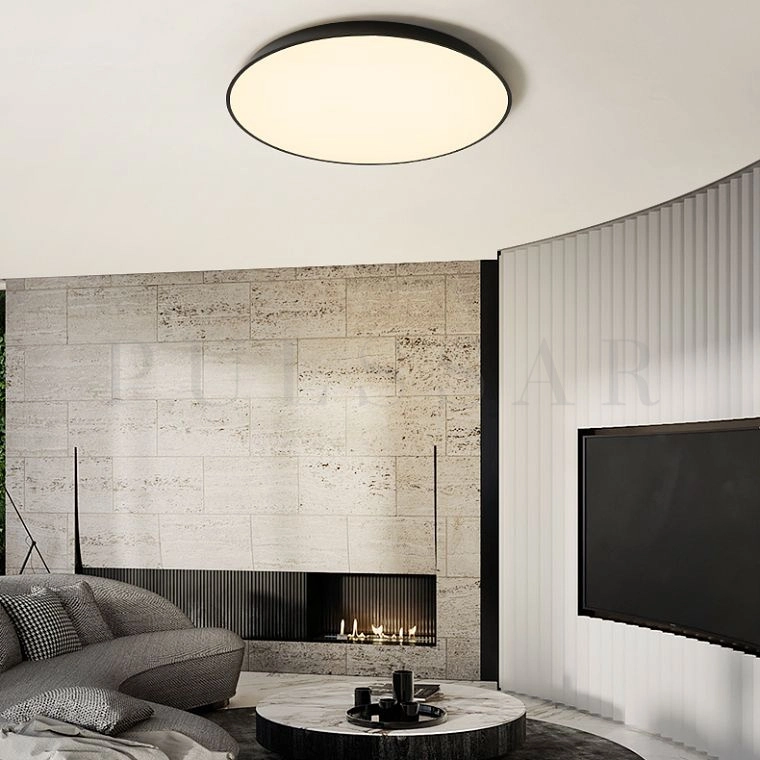 Потолочный светильник TERRA