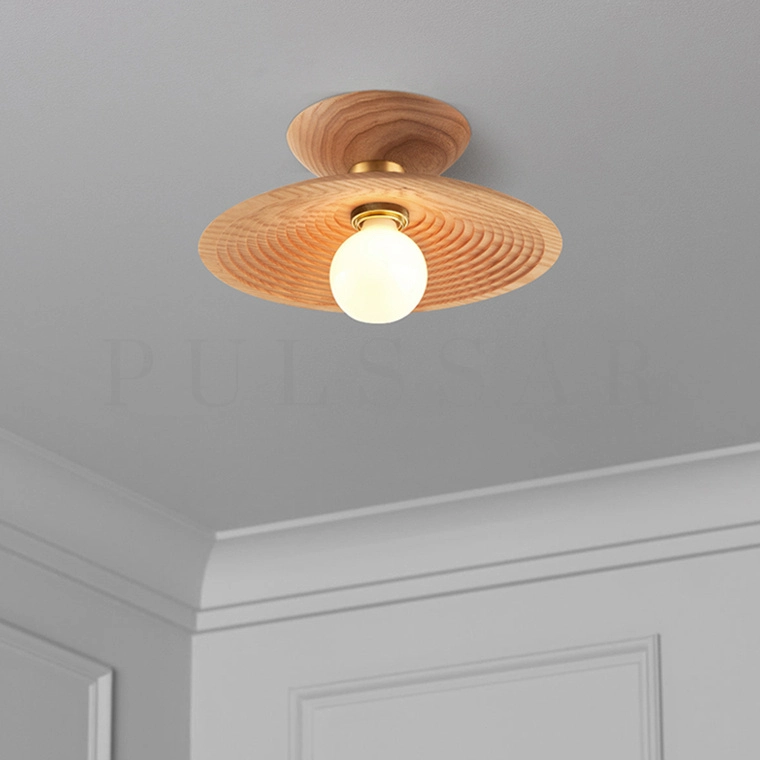 Потолочный светильник ELSA C