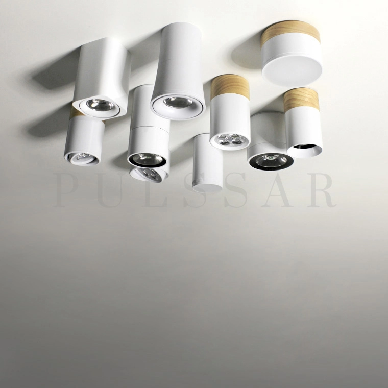 Точечный светильник WOODS