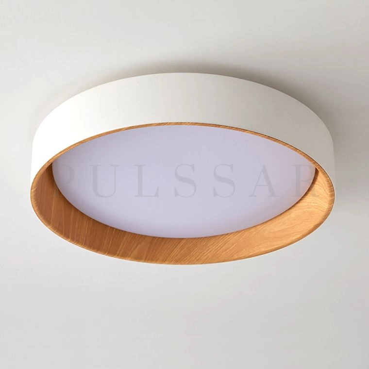 Потолочный светильник WENNY