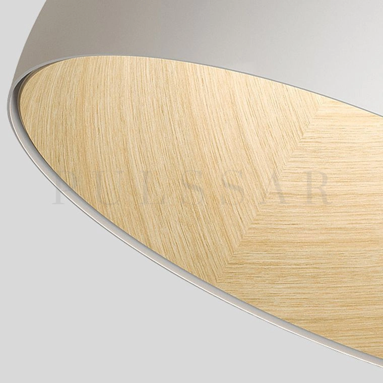 Потолочный светильник BARA