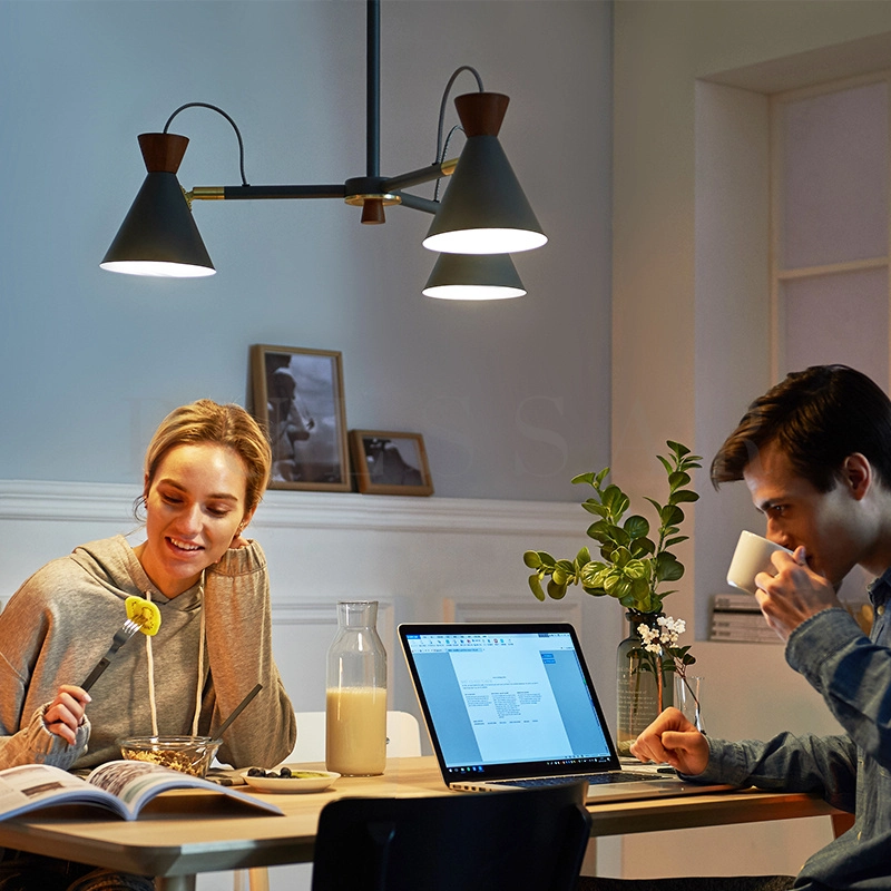 Подвесная люстра SINDRE