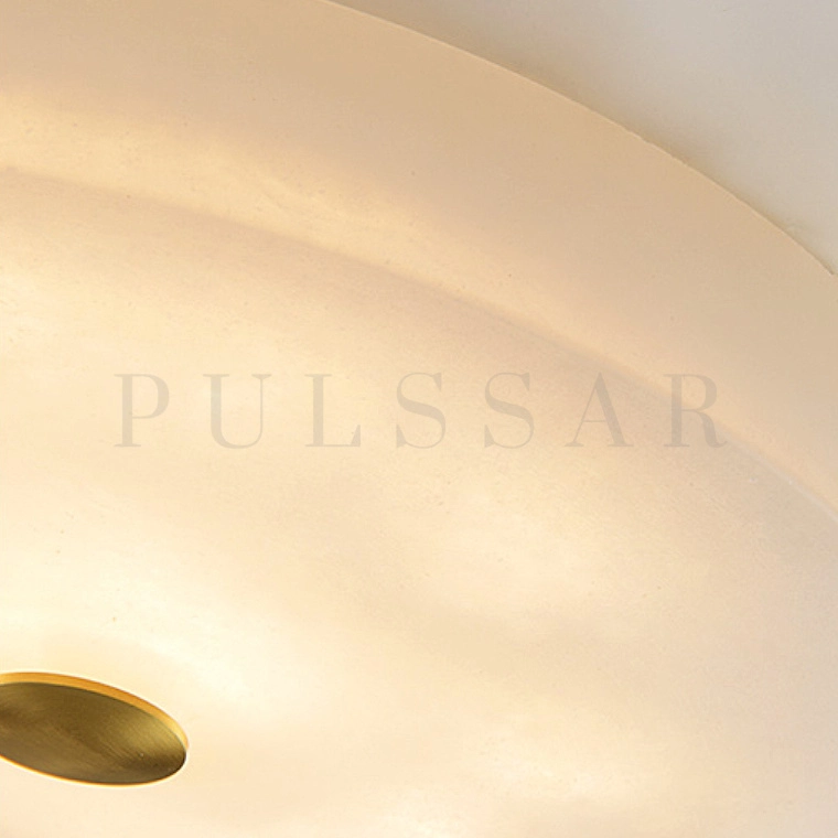 Потолочный светильник SALENA