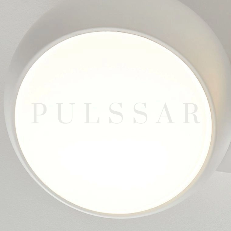 Потолочный светильник DAGA