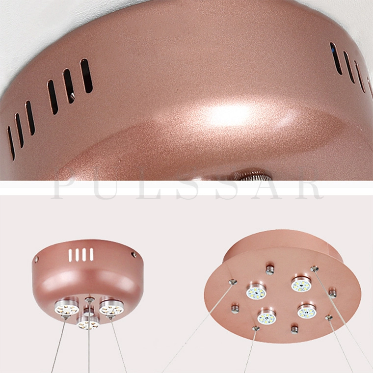 Кольцевая люстра LEAVES R