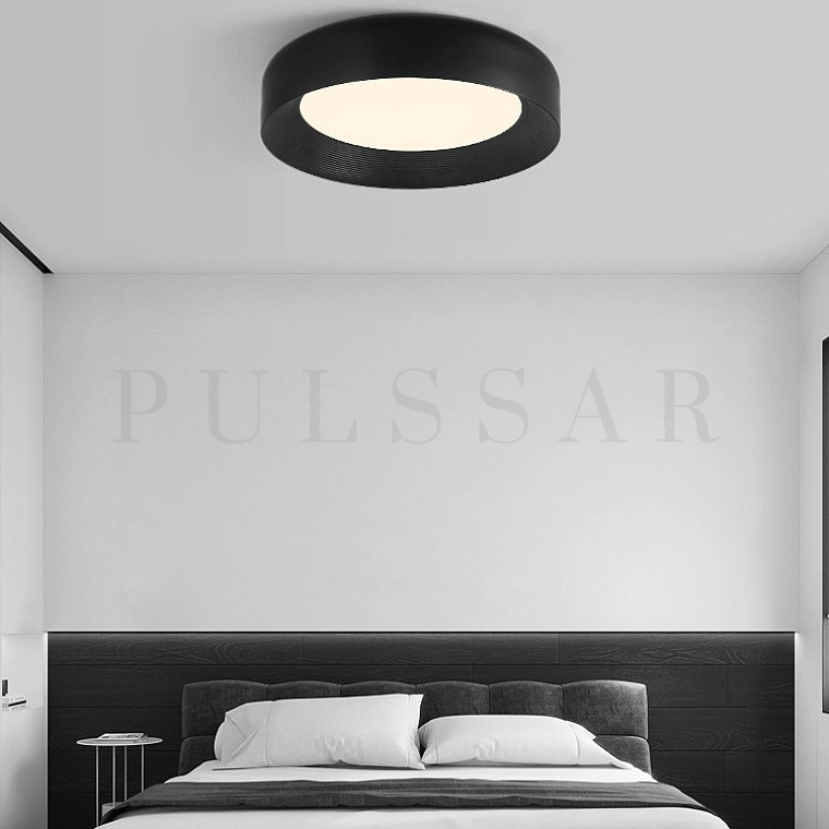 Потолочный светильник ROY CH