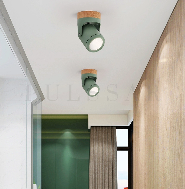 Точечный светильник PAX